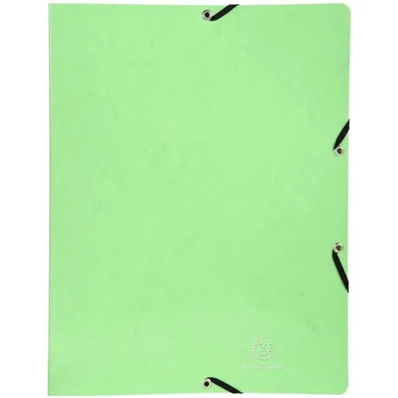 Exacompta Ringbuch A4 2 Ringe Iderama anisgrün FSC-Mix