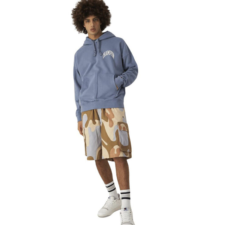 Champion logo hoodie Flint stone