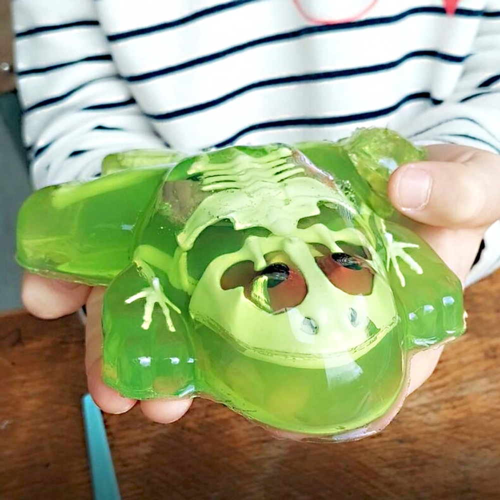 Sezieren Sie den Super-Laborfrosch mit Venen und Arterien