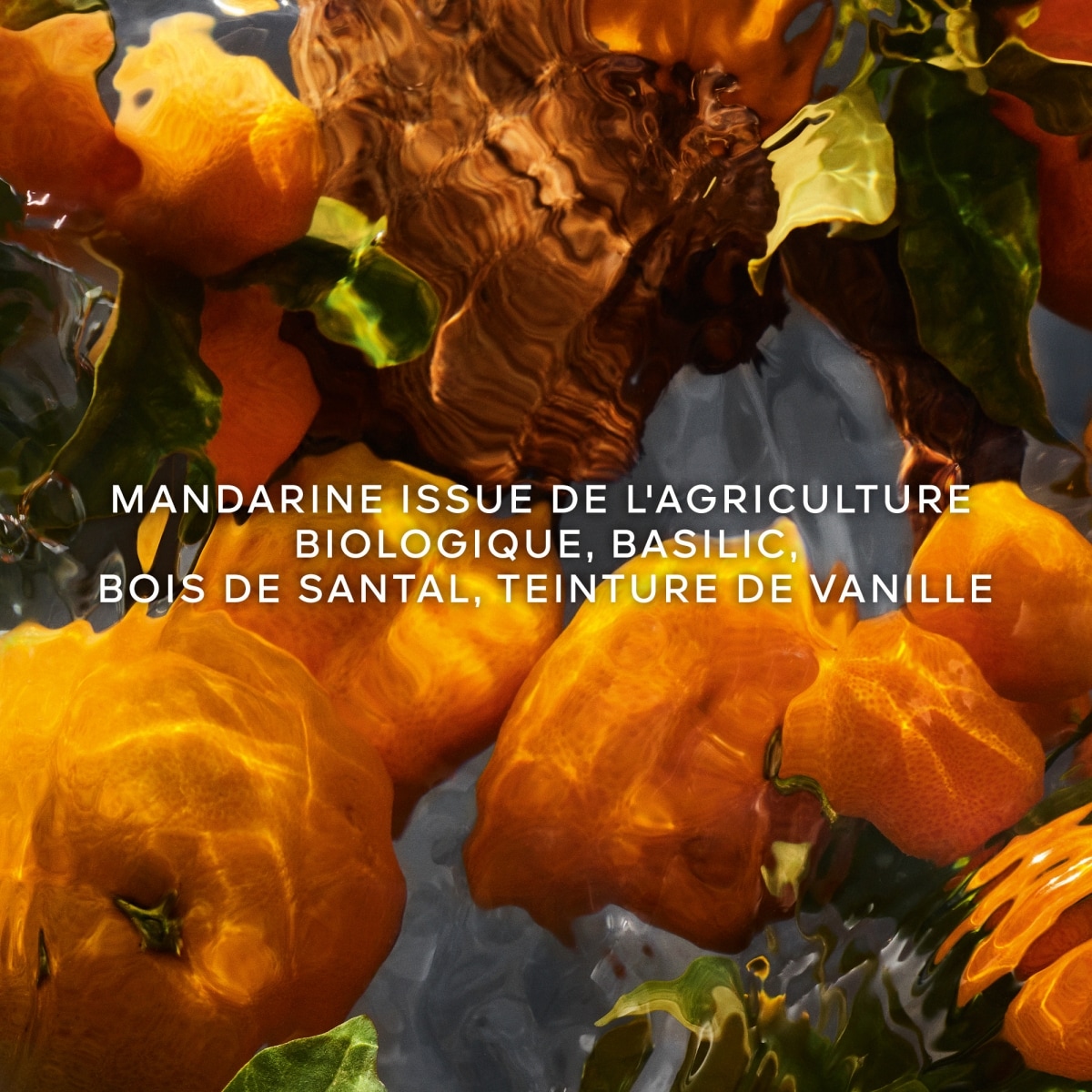 GUERLAIN Aqua Allegoria Forte Mandarine Basilic Eau de Parfum