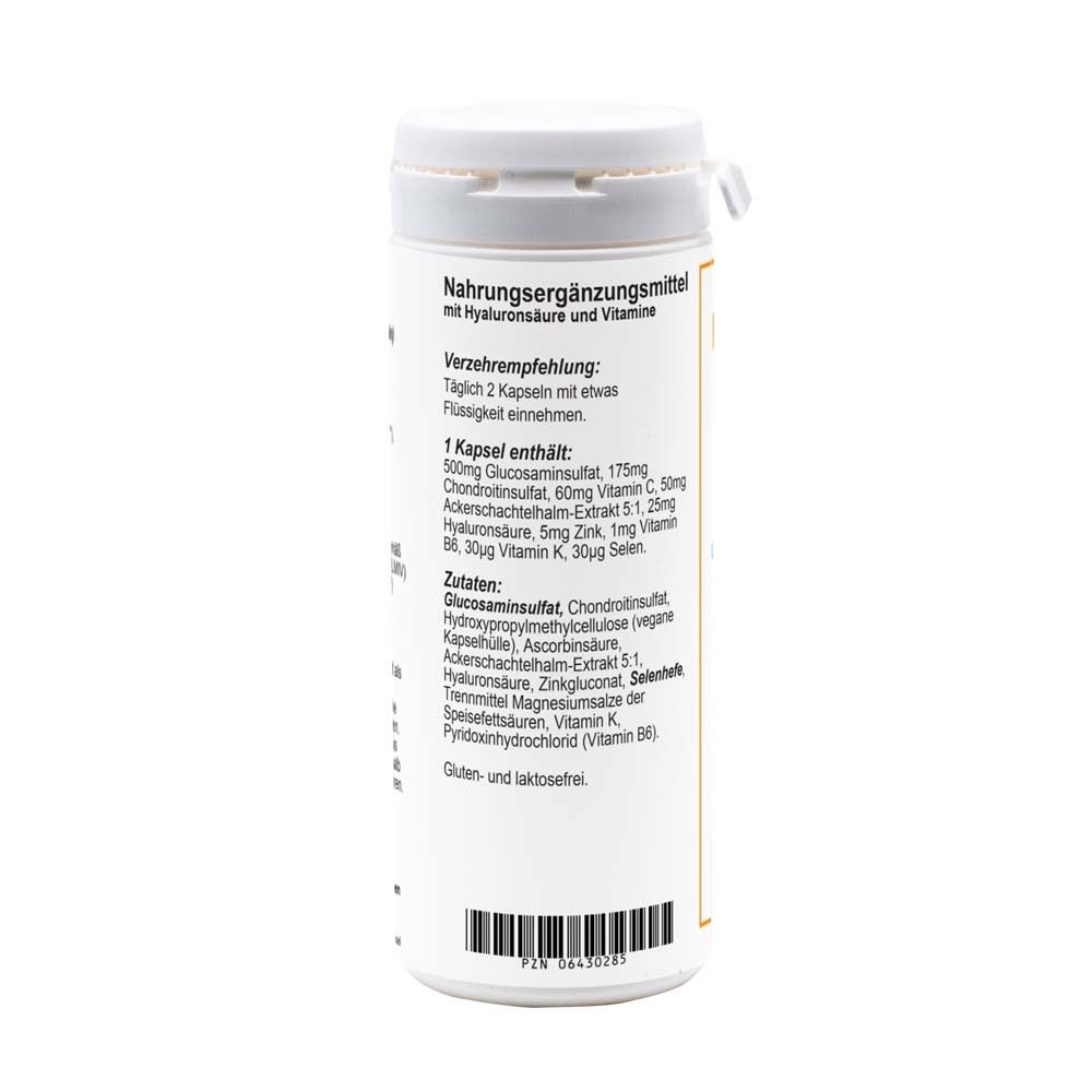 Glucosamin Chondroitin Hyaluron Plus