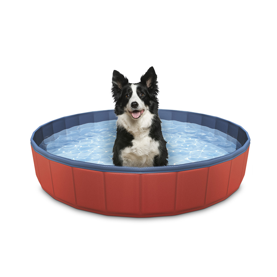 Piscina para cães com clima de verão