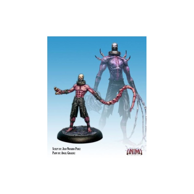 Anima Tactics Typer 009 Death Head