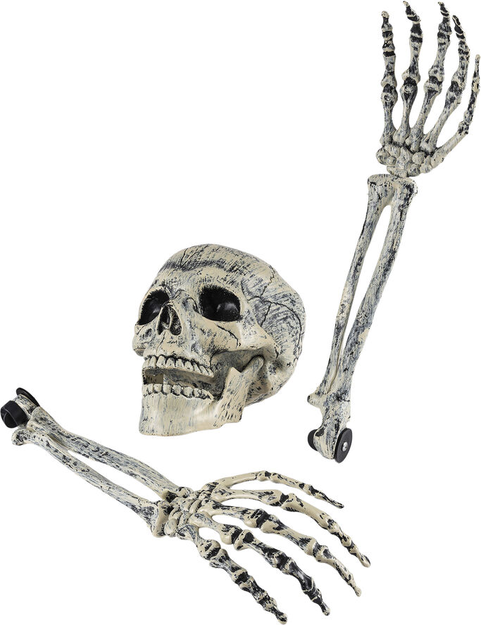 Dungon Wepons SKELETHOVED-KNOGLER DEKO