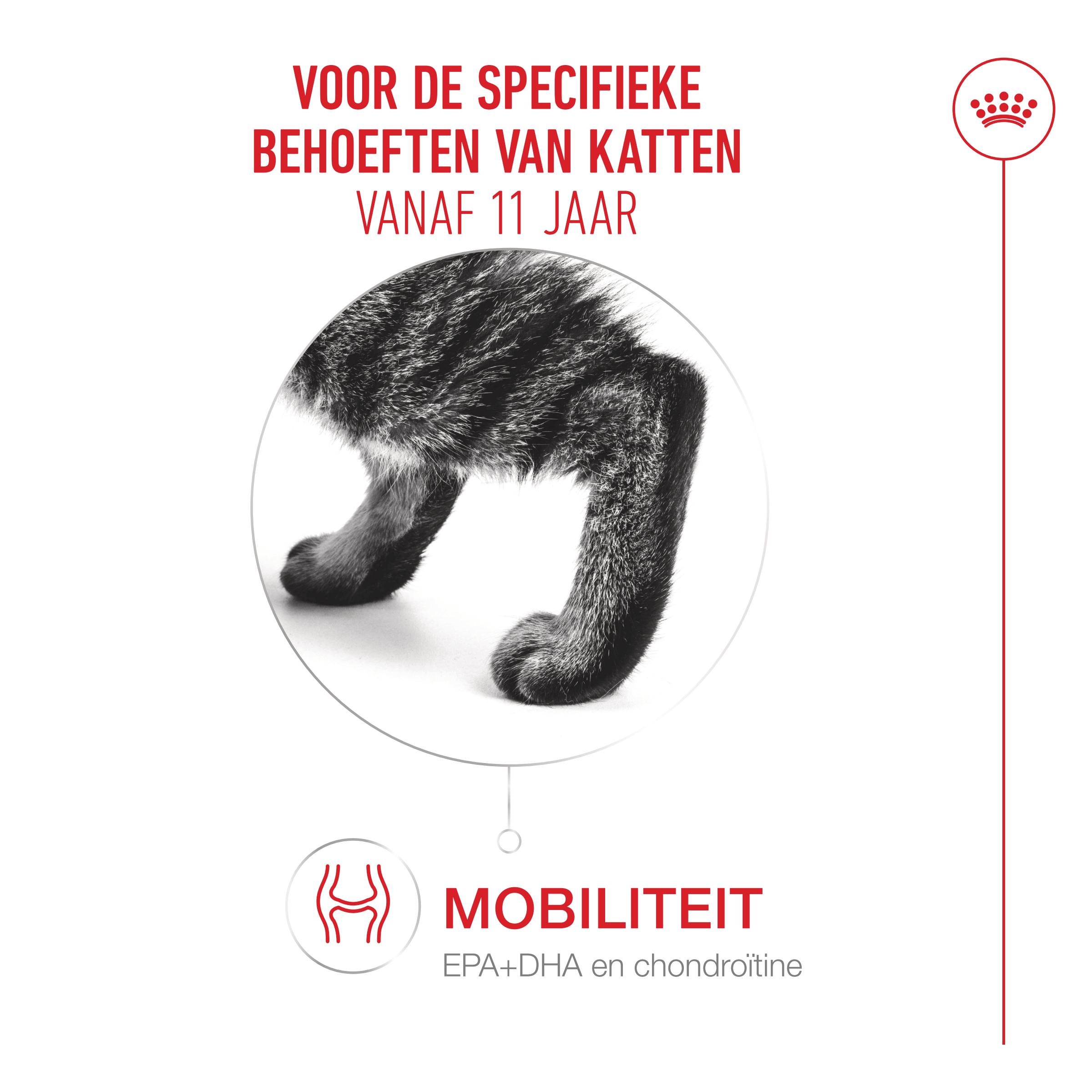 Royal Canin Ageing 11+ in Saus - Kattenvoer