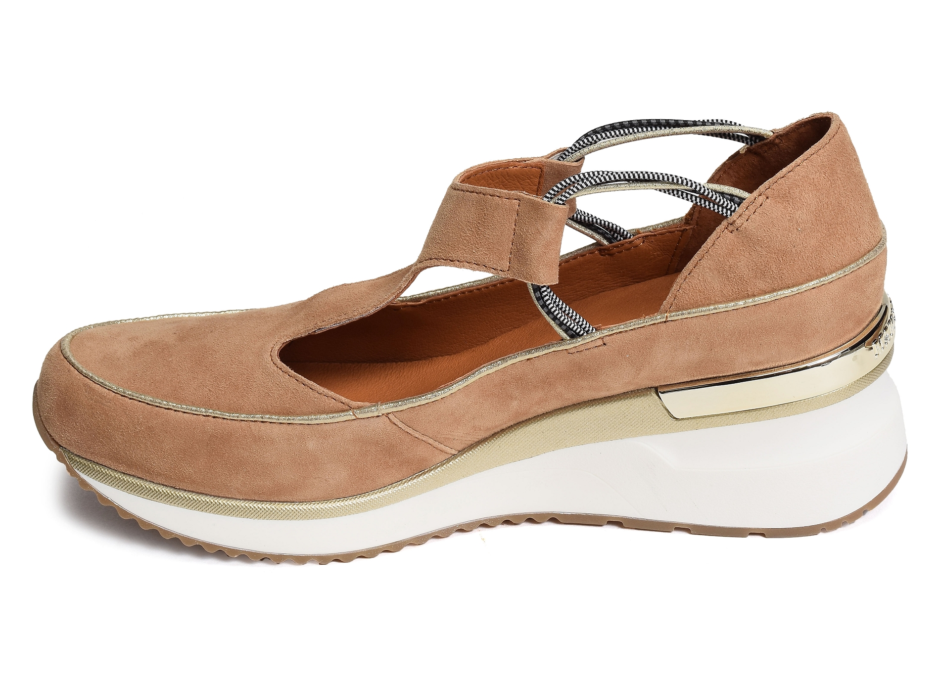 Vasas camel