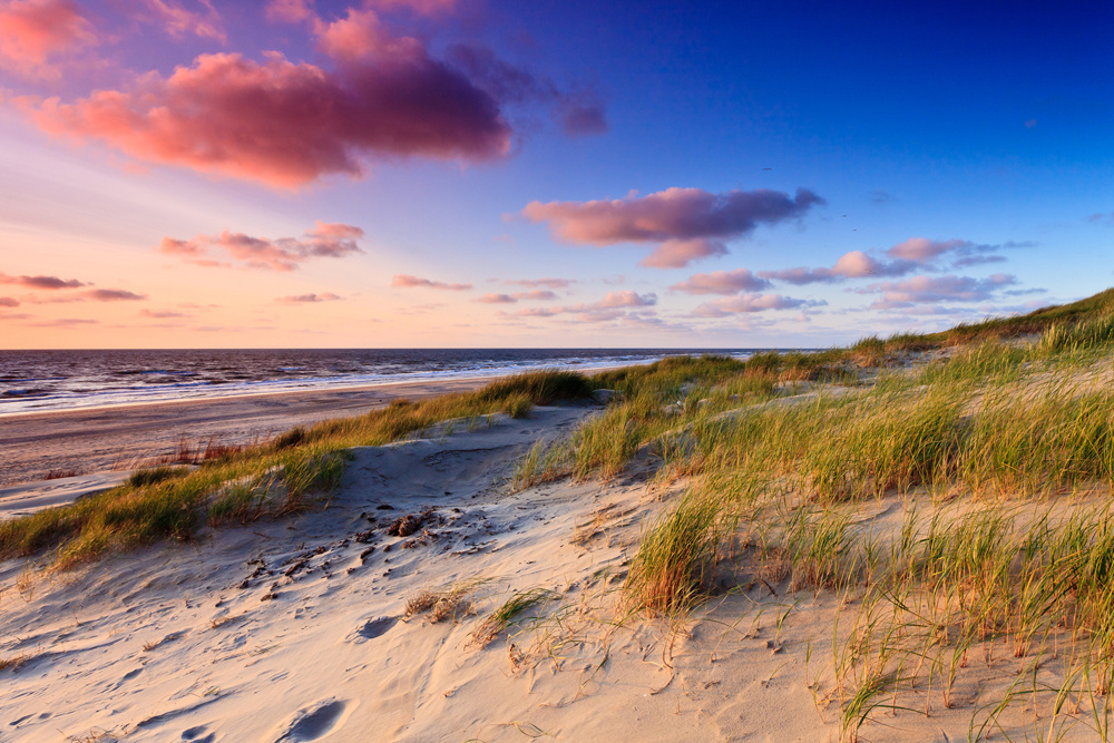 Akustikbild DÜNEN AM MEER 3 80x120cm, 7kg