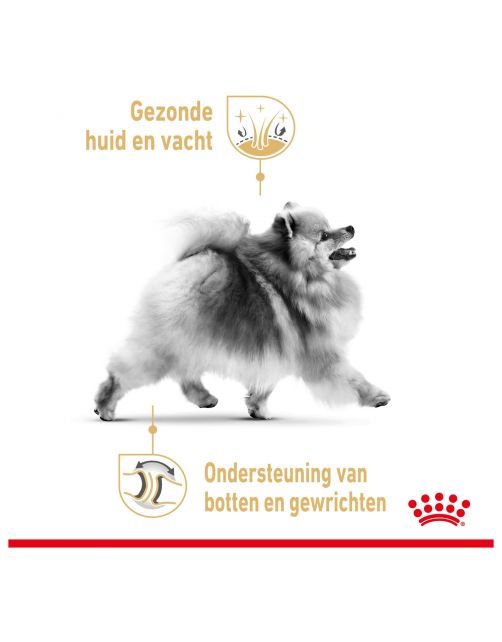 Royal Canin Pomeriaan Adult - Hondenvoer