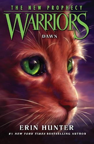 DAWN - Warriors: The New Prophecy Book 3 (Paperback)