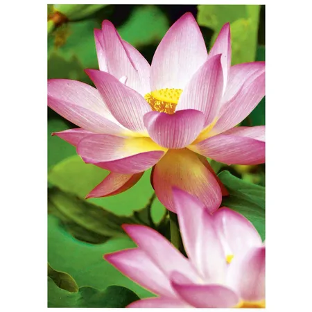 Avery Zweckform C2553-40 Premium Inkjet Fotopapier, 10x15, einseitig beschichtet, 300 g/m², 40 Blatt