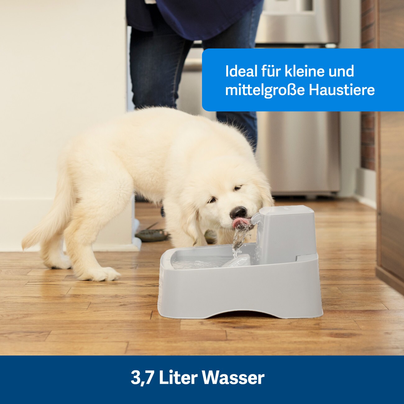 PetSafe Trinkbrunnen 3,7 l
