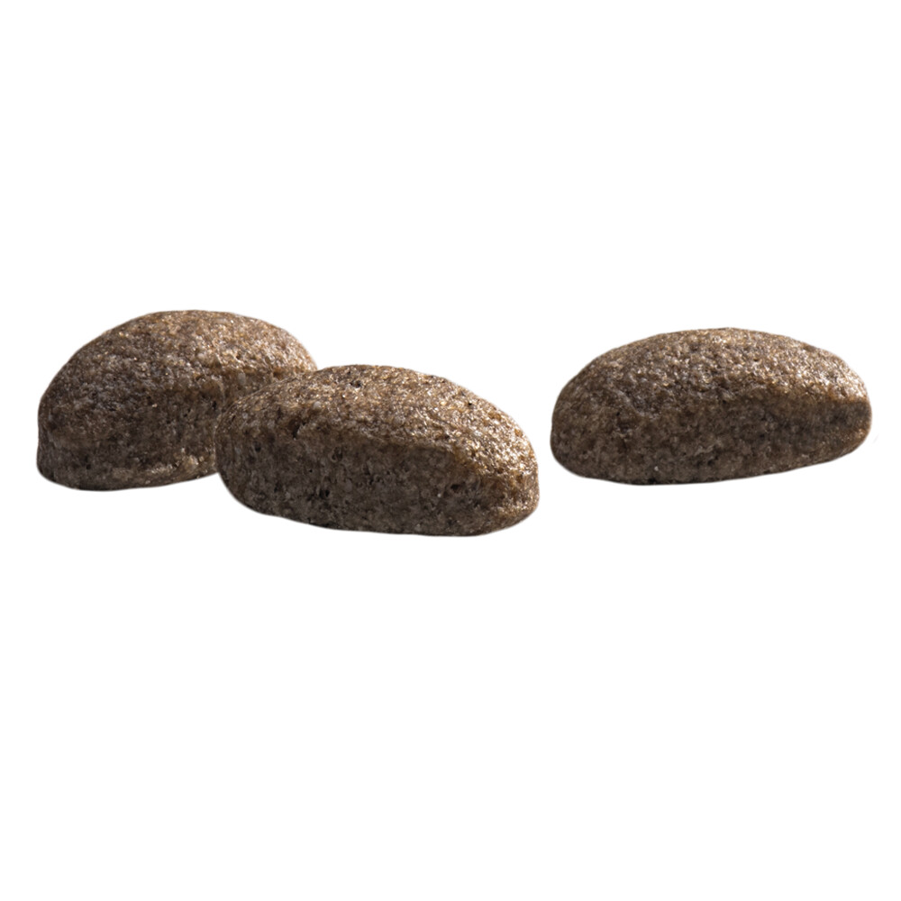 Prins Protection Croque Mini Hypoallergeen Lam Hondenvoer 2 kg