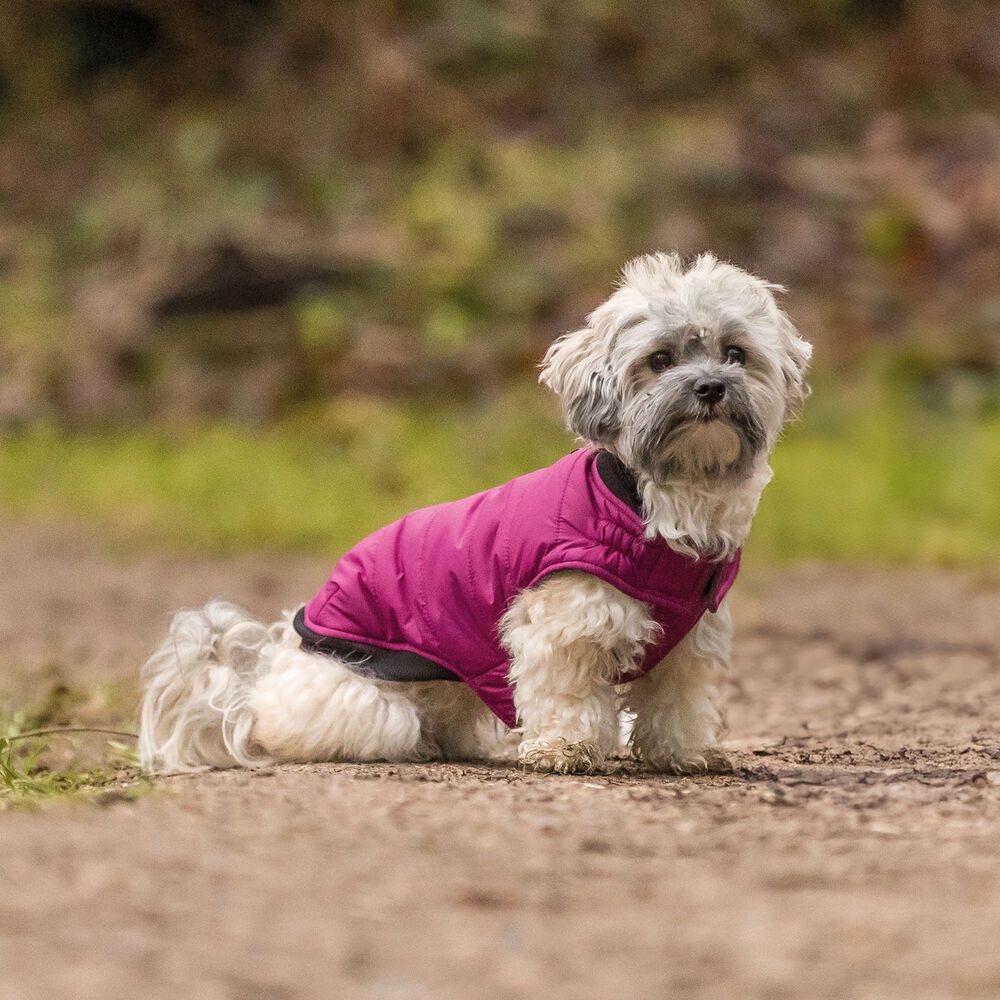 Trixie Hundemantel Arlay