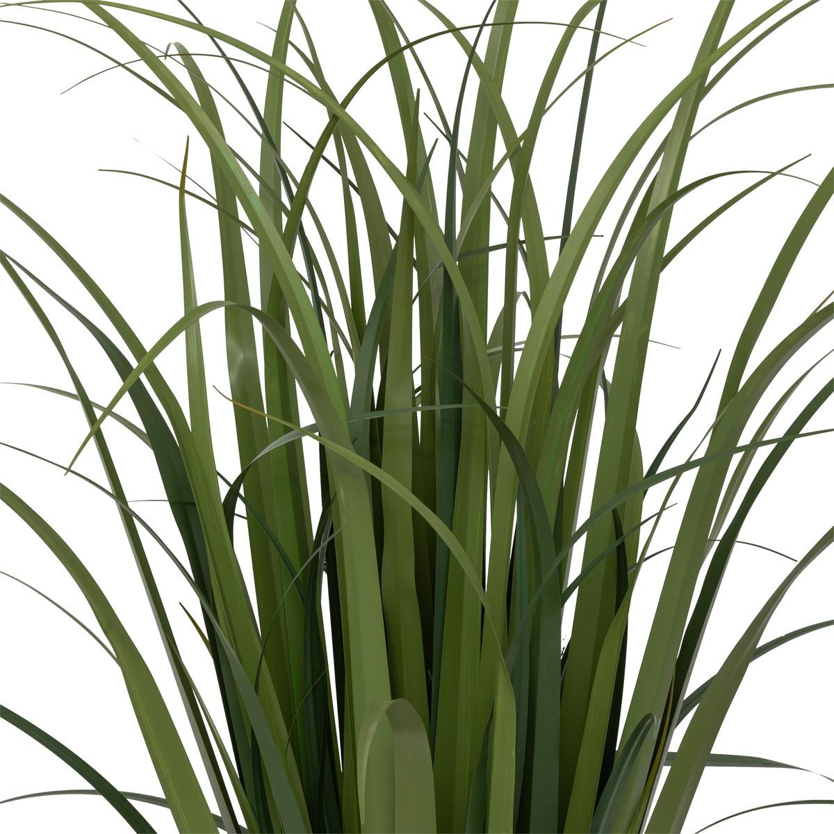 BUNCH LIN POT NATUREL ZYA H.91CM