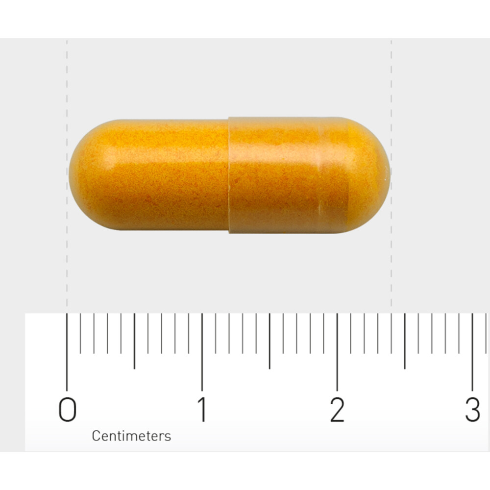 AOV 831 Curcuma Longa Fytosomaal60 vegacapsules