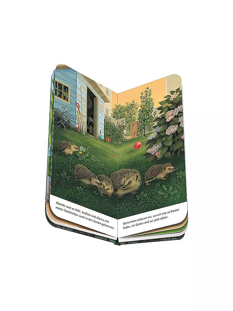 RAVENSBURGER Buch - Ich bin der kleine Igel keine Farbe