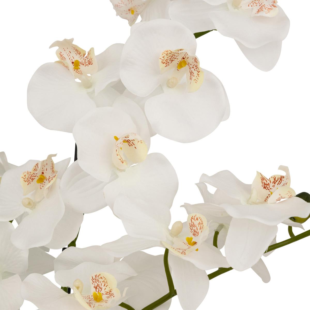 ORCHIDEE POT CIMENT MICK BLANC H.80CM