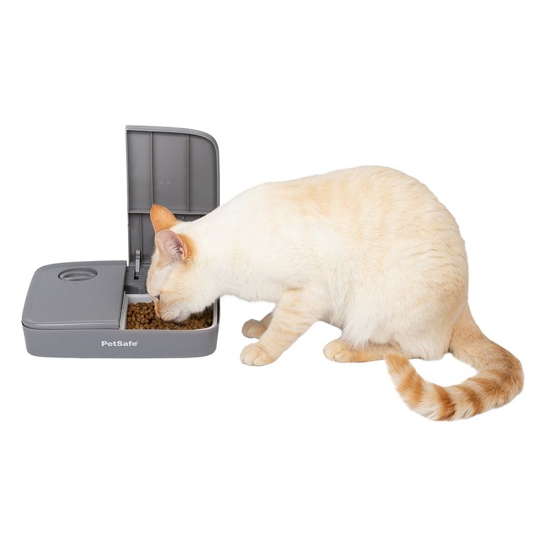 PetSafe Distributeur automatique de nourriture 2 repas