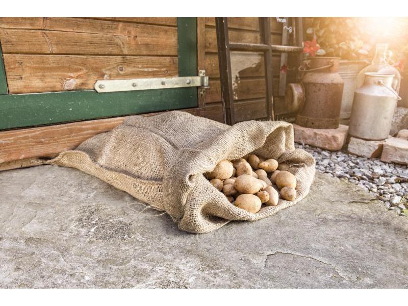 Windhager Jute-Sack 60 x 100 cm Pflanzenvlies