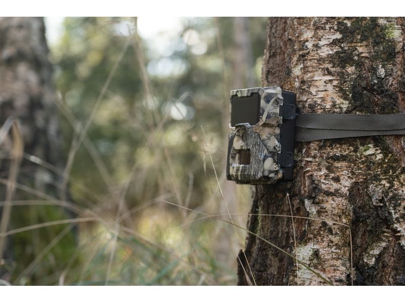Dörr Kamera Wildkamera SnapShot Mini 5.0 Pro Überwachungskamera für hochauflösende Wildtierbeobachtung und Sicherheitsüberwachung