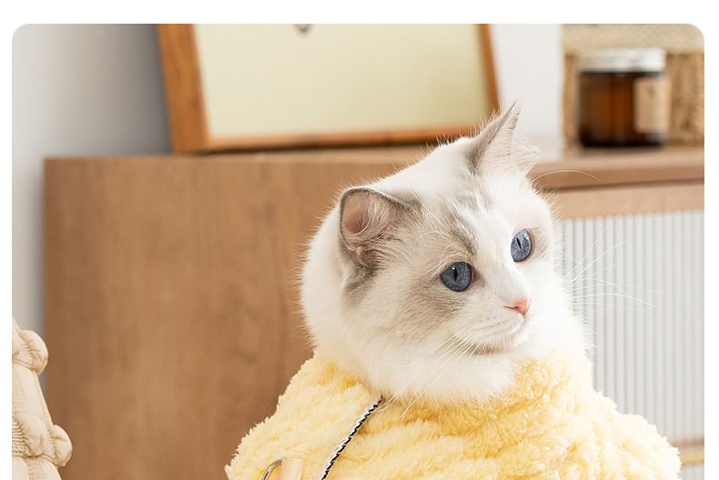 Cissilli - Chenille top met dierenapplicatie (verschillende ontwerpen)