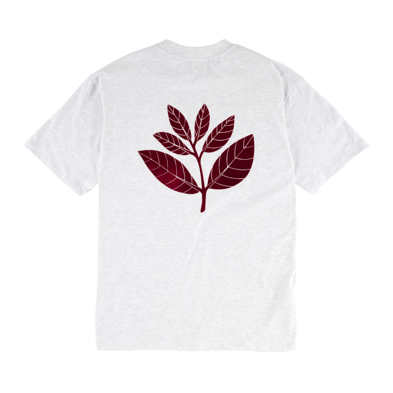 T-shirt PETIT VELOURS - Gris cendré