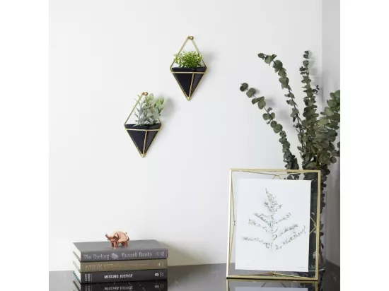 Support à plantes mural Trigg (Lot de 2)