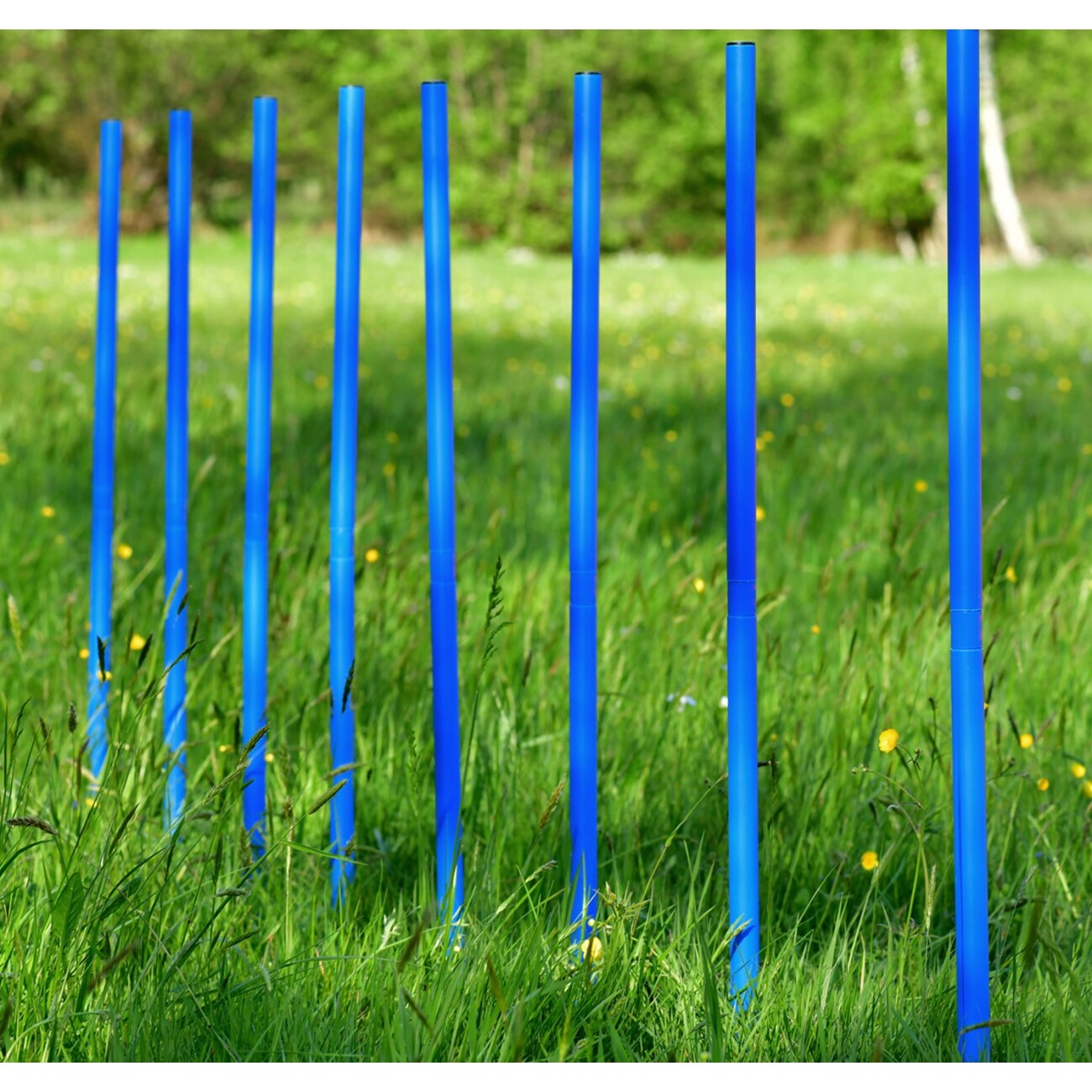 PfotenWunder® 10x Slalomstangen, Profi-Agility-Slalom-Set groß Sport, für kleine & große Hunde-Training Parcour Zubehör