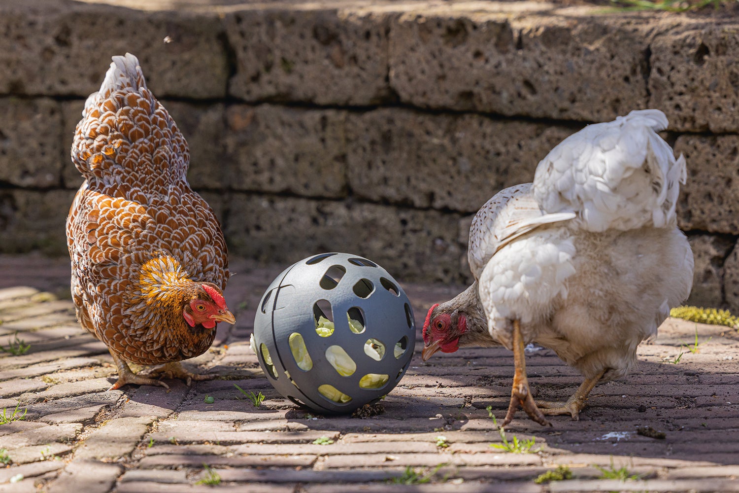 Beeztees kippenvoerbak speel snackbal grijs D 15 H 15 cm