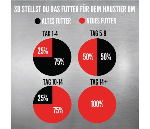 ORIJEN™ Trockenfutter für Katzen Six Fish