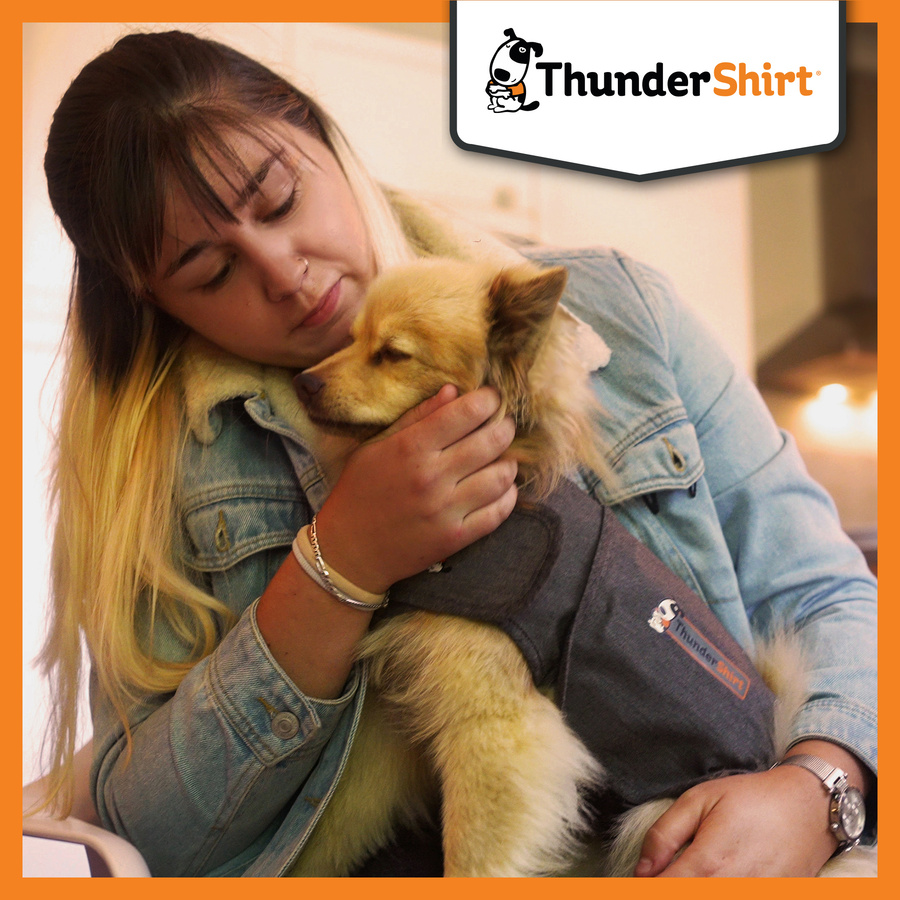 Camiseta antiestresse relaxante Thundershirt para cães