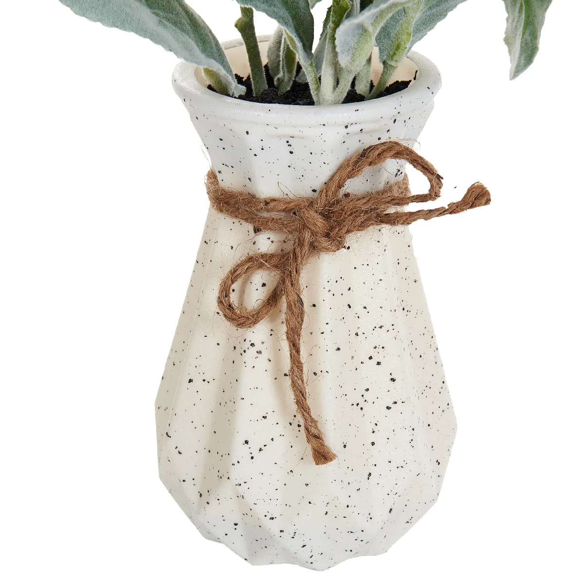 BELIANI PEPEROMIA ARGYREIA 30 cm - Vert
