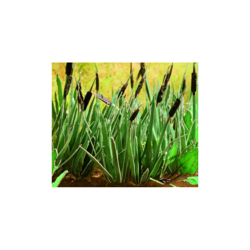 Ziterdes: Reed (16 pcs.)