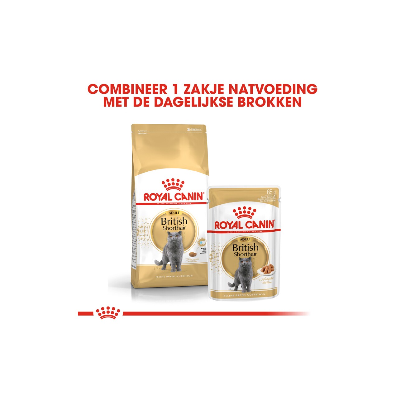 ROYAL CANIN British Shorthair Adult 10 kg