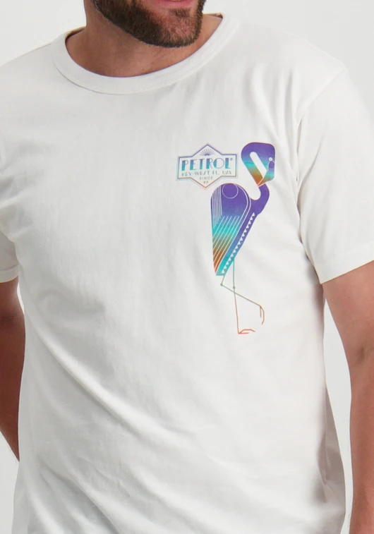 Petrol T-shirt met opdruk M-1050-TSR648