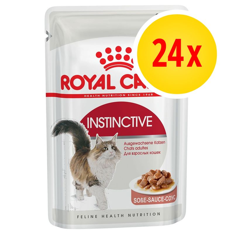 Lot Royal Canin 24 x 85 g
