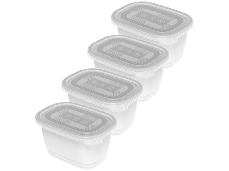 Rotho Vorratsbehälter Freeze 4 Stück, 0.75 l, Transparent Gefrierdosenbox für Lebensmittel