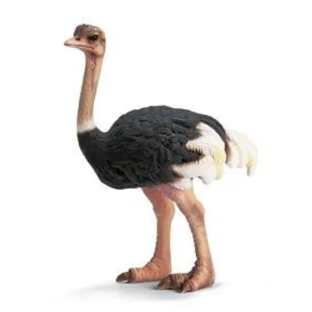 Schleich® 14325 Strauß