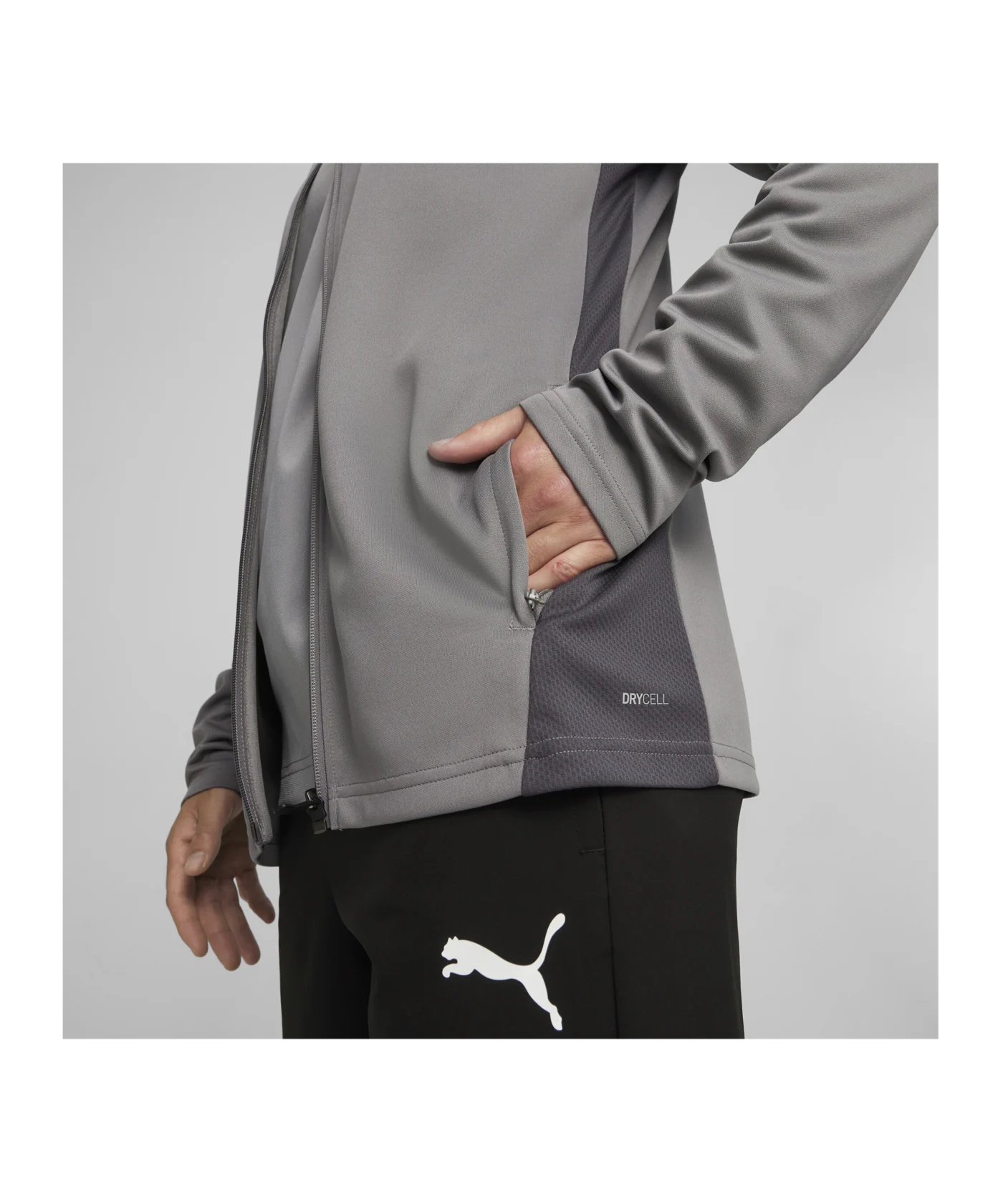 PUMA teamGOAL Trainingsjacke Grau F13