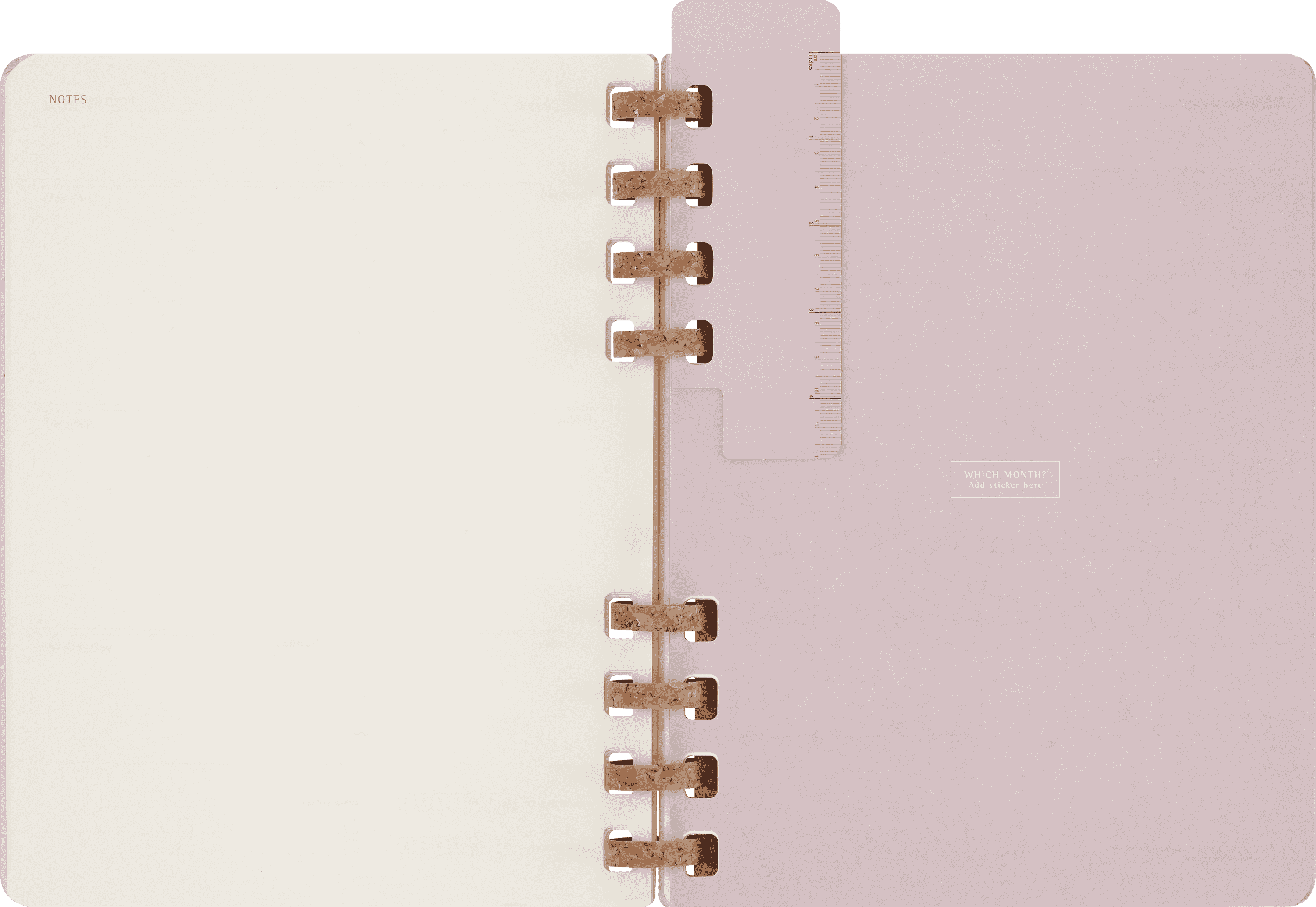 Undated Life Planner XL Weekly and Monthly, Spiral
