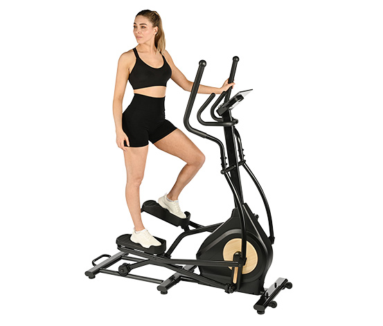 Elliptical Ergometer FitWheel Pro