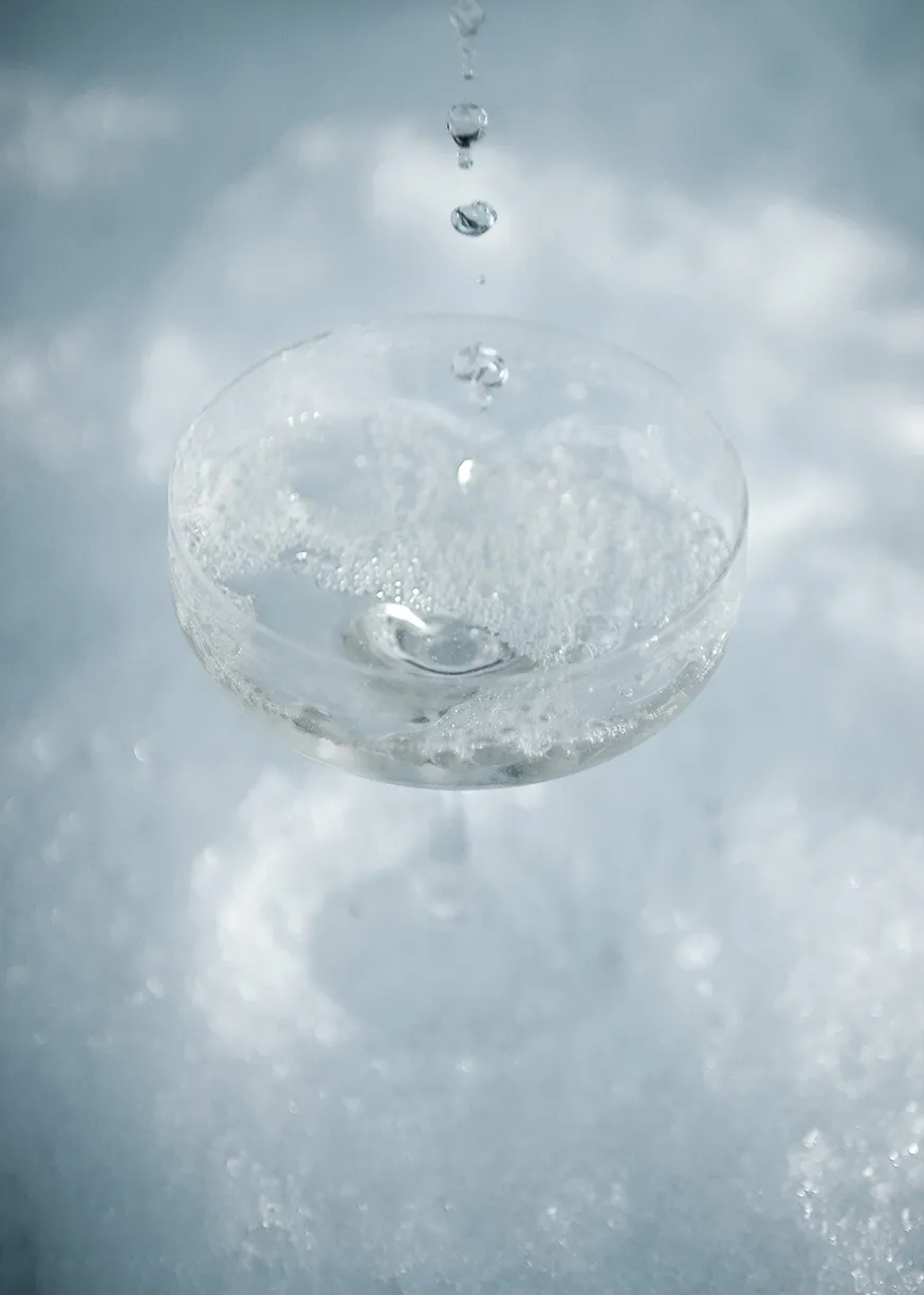 Wik & Walsøe Julemorgen Champagneskål