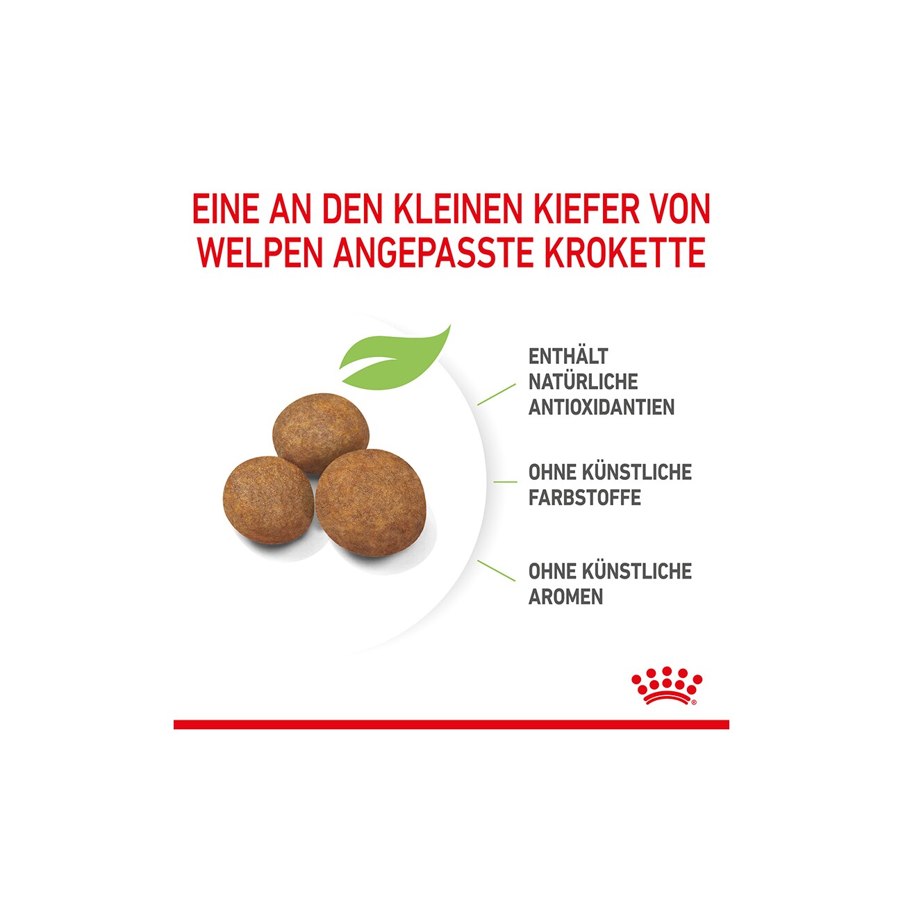 ROYAL CANIN Maxi Puppy 4 kg