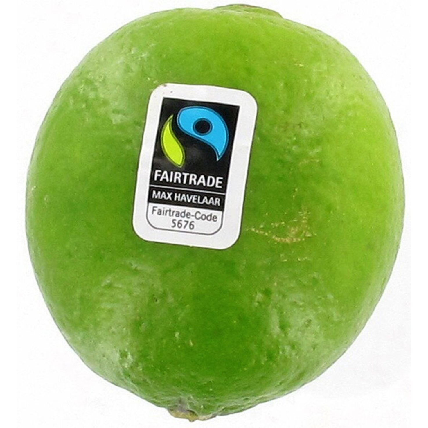 Fairtrade Limette 1 Stück -