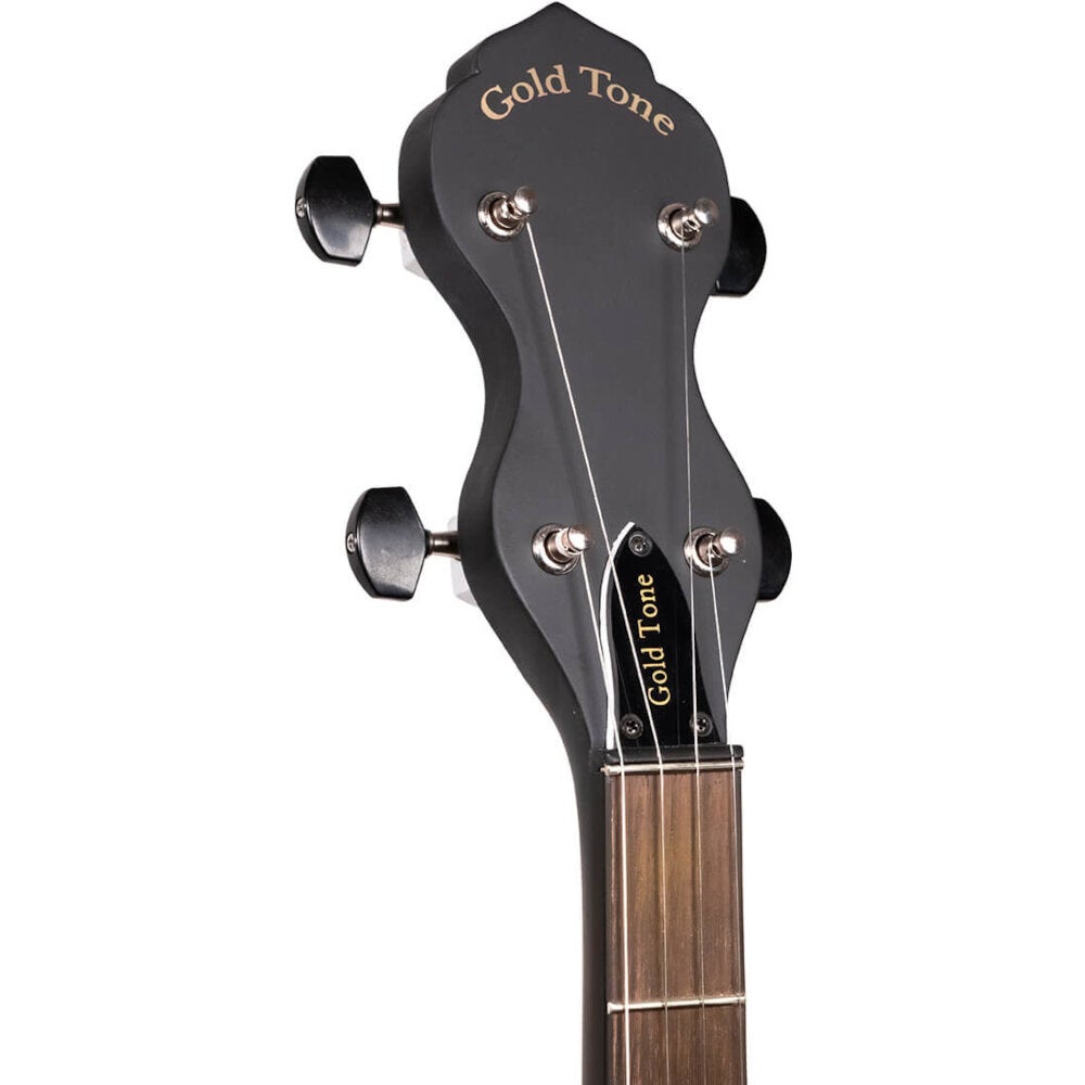 Gold Tone AC-1LN 5-snarige long neck open back banjo met gigbag