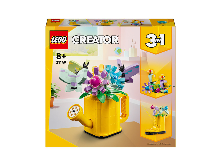 Bloemen in gieter 31149