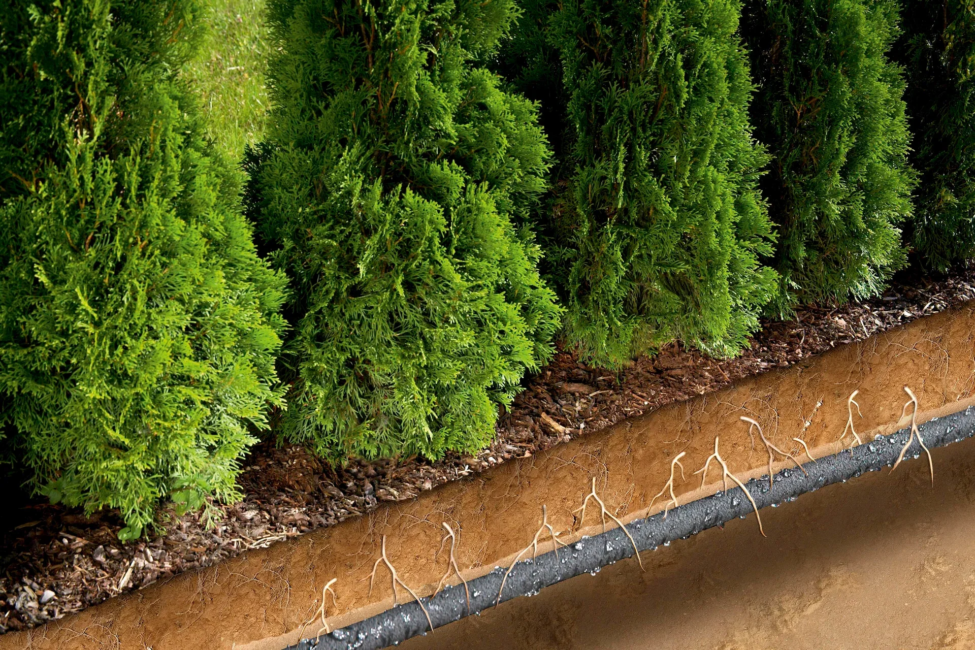 Gardena Svetteslange Gardena Lengde 15 m
