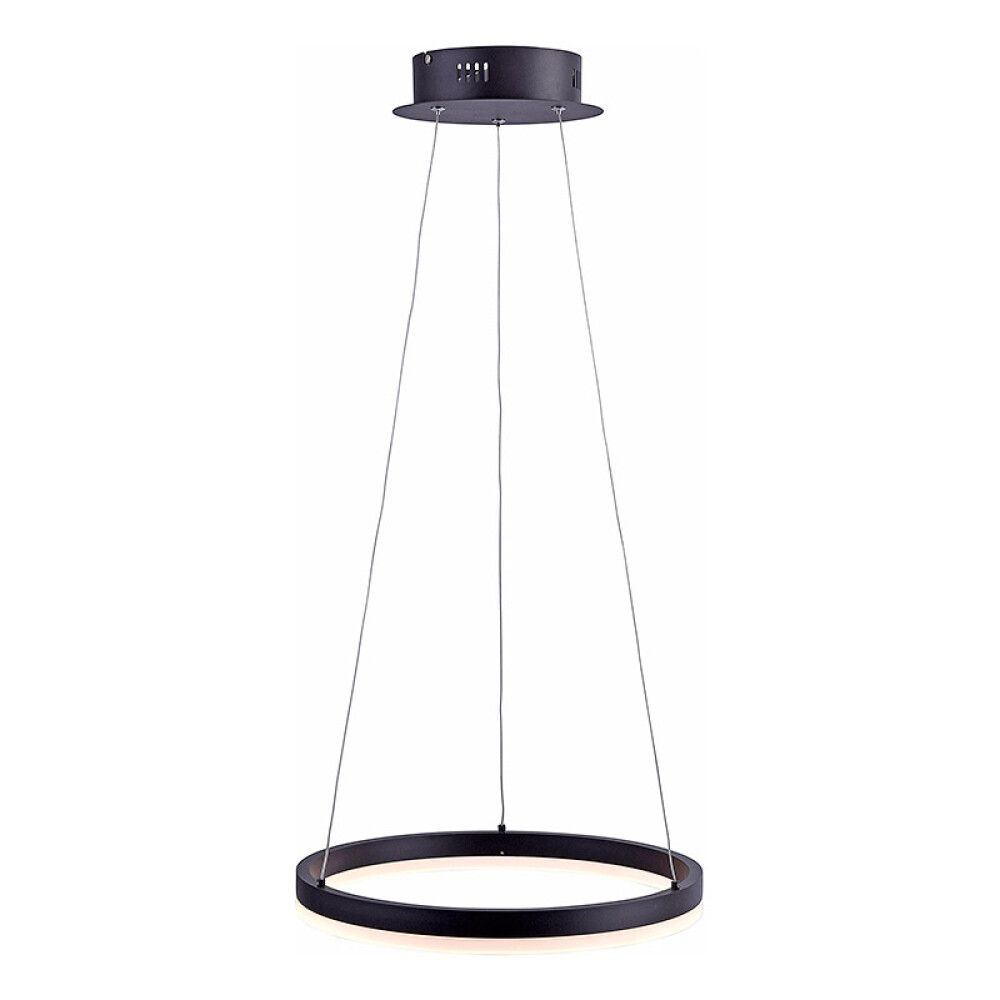 TAKLAMPE PAUL NEUHAUS 40CM ANTRASITT