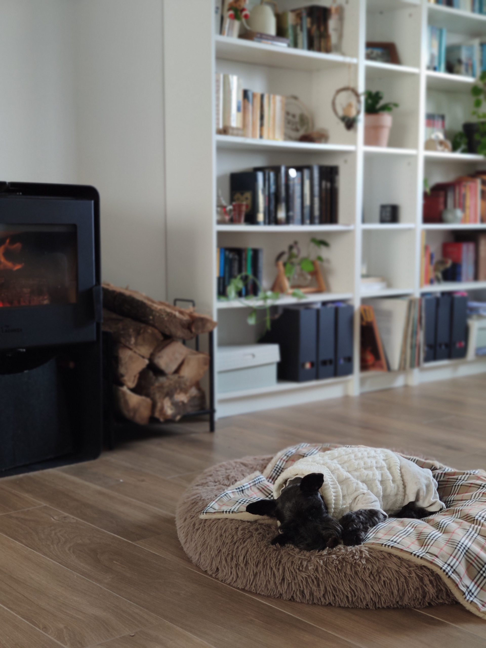 Cobertor para animais de estimação Burberry Komypets