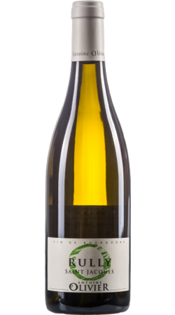 Domaine Antoine Olivier Rully Saint-Jacques 2020